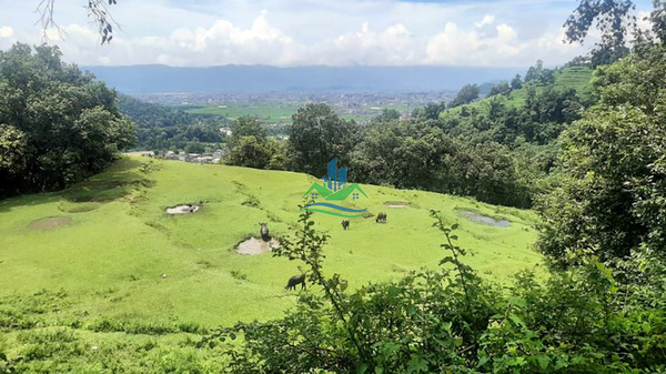 Land for Sale at Aarba, Pokhara