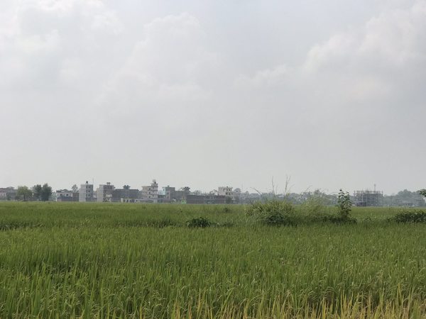 Land for Sale at Lumbini Bazar, Rupandehi