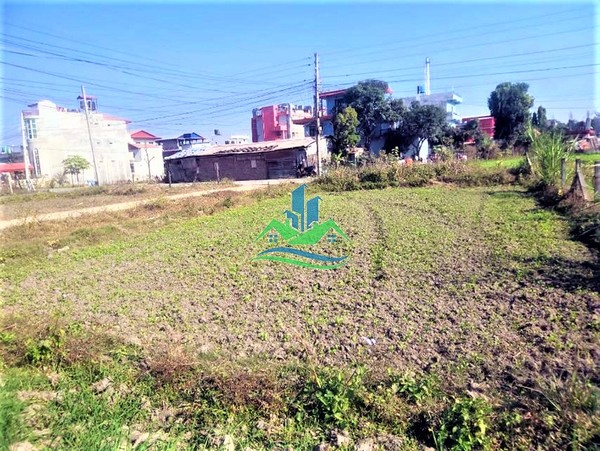 15 Dhur Land For Sale at Gondrang, Bharatpur
