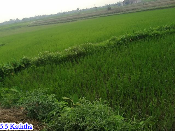 Beautiful Land for Sale at Ratnanagar- 09, Chitwan