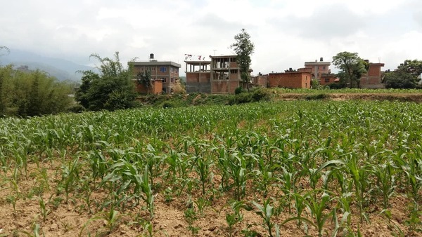 Land for Sale at Dhapakhel, Lalitpur