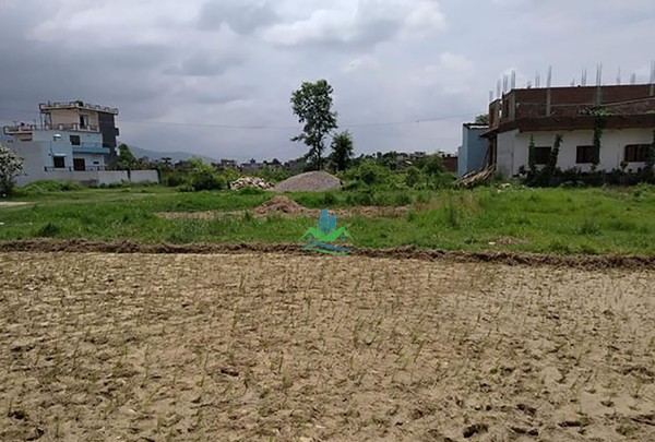 Land for Sale at Sarauli, Rupandehi