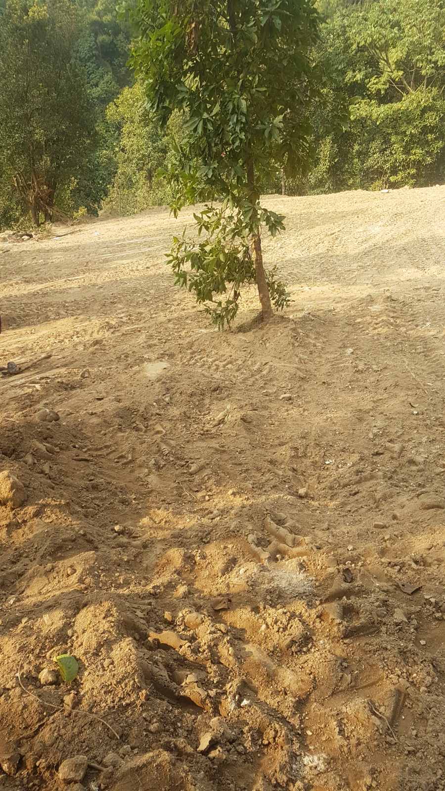 Eproperty Nepal Land For Sale at Shankharapur05, Kathmandu