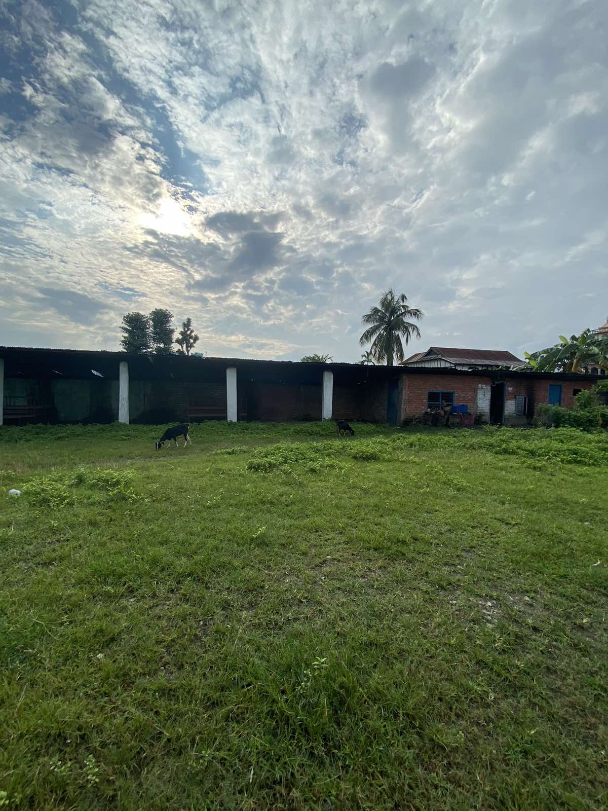 Eproperty Nepal Land for Sale at Damak, Jhapa