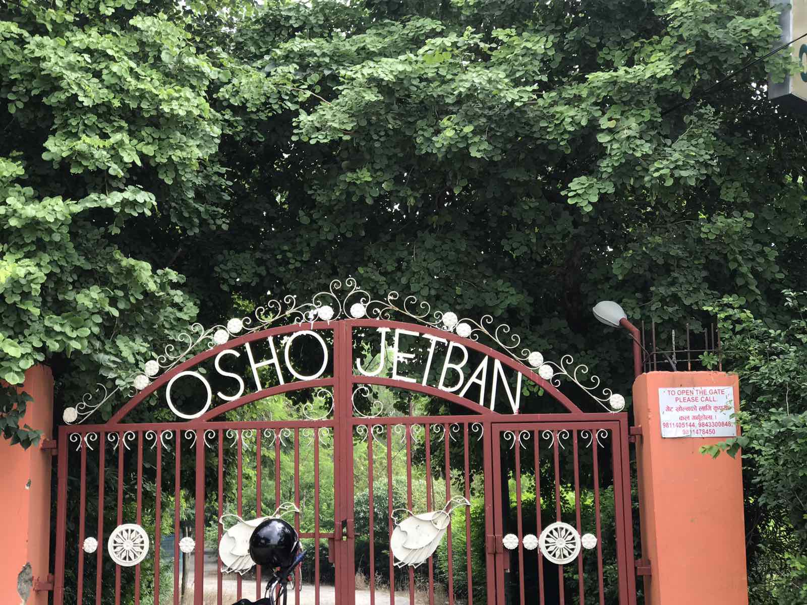 Eproperty Nepal Land for Sale at Lumbini Bazar, Rupandehi