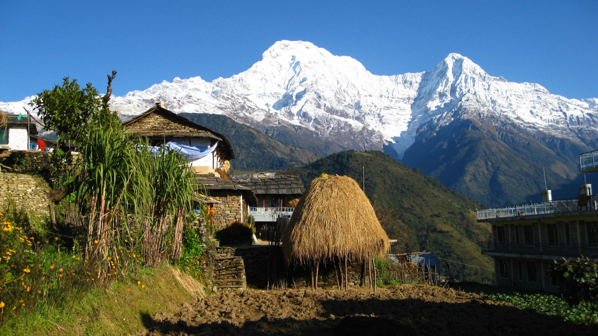 Dhampus-Lowang-Home-stay-Trek-village.jpg