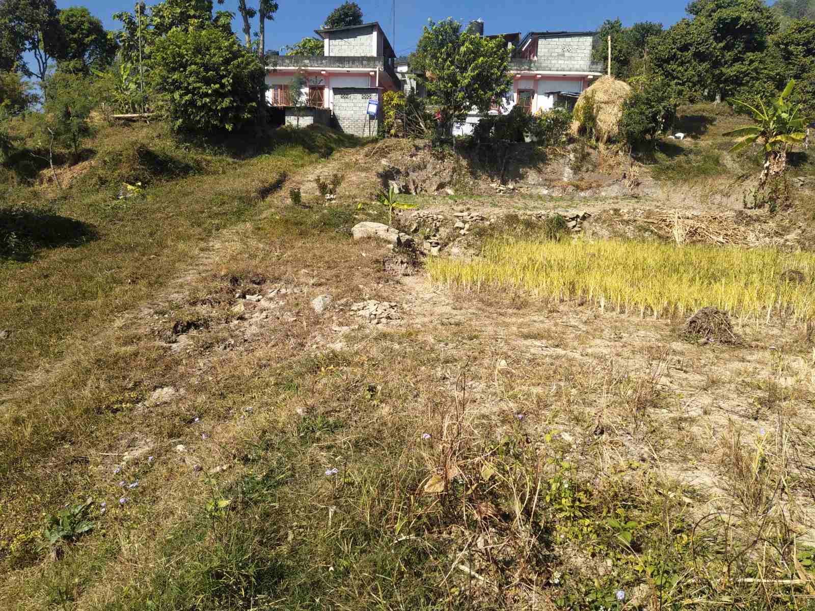 Eproperty Nepal Land For Sale at Pokhara, Kaski
