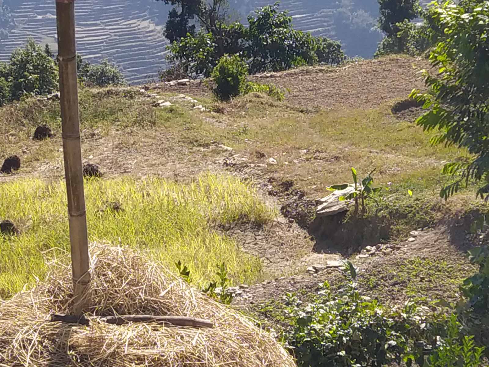 Eproperty Nepal Land For Sale at Pokhara, Kaski