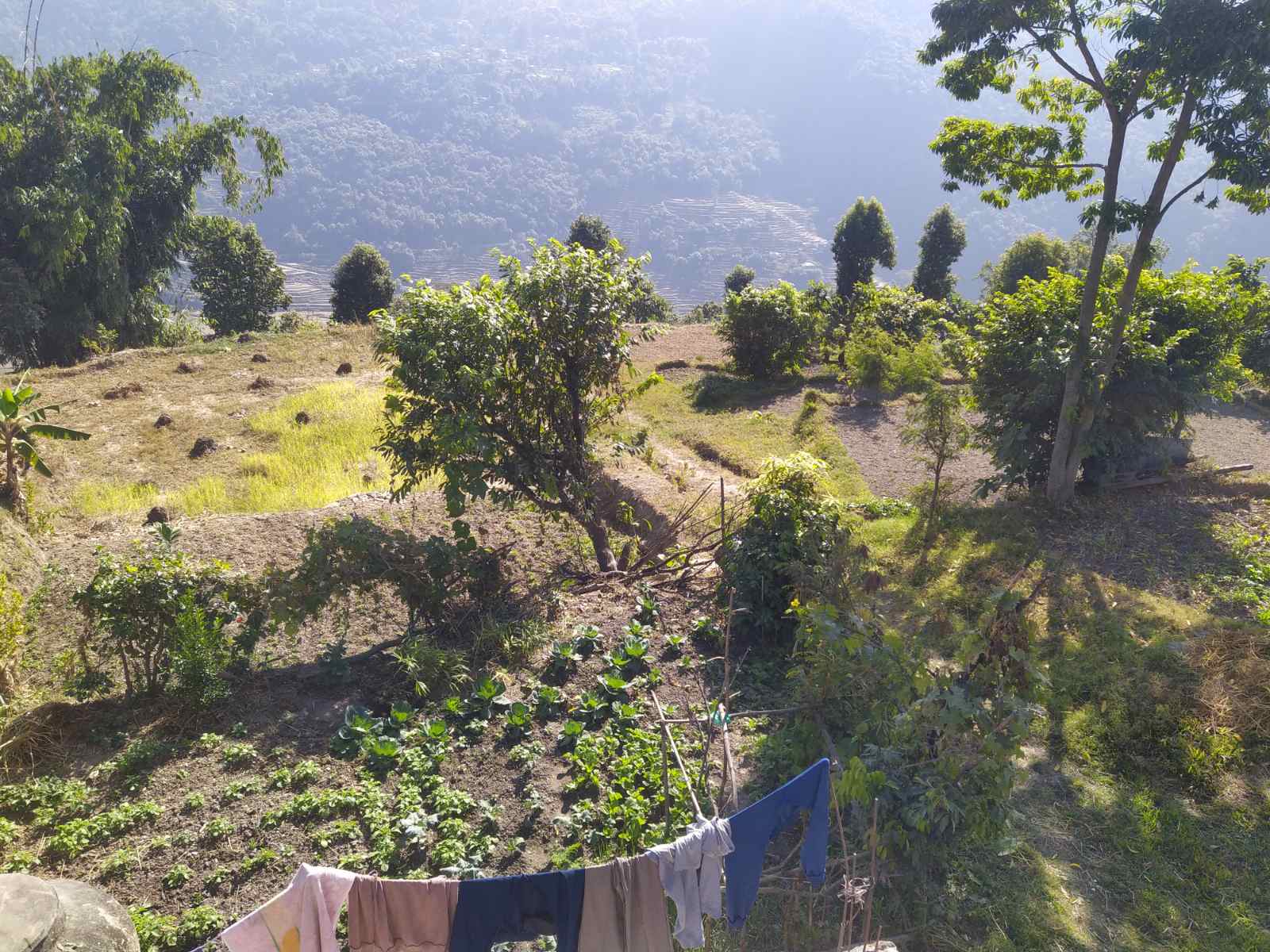 Eproperty Nepal Land For Sale at Pokhara, Kaski