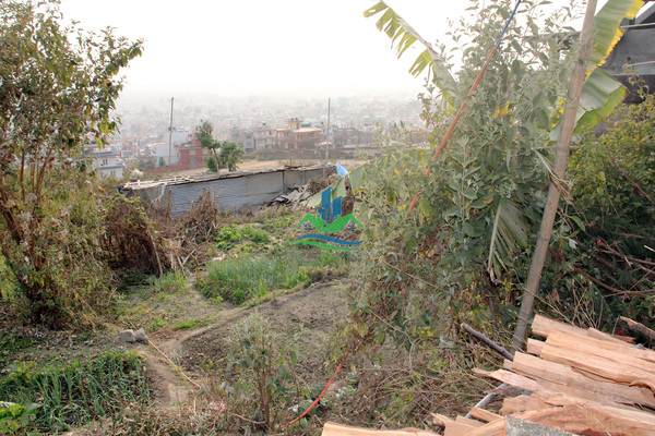 Land for Sale at Budhanilkantha, Kathmandu