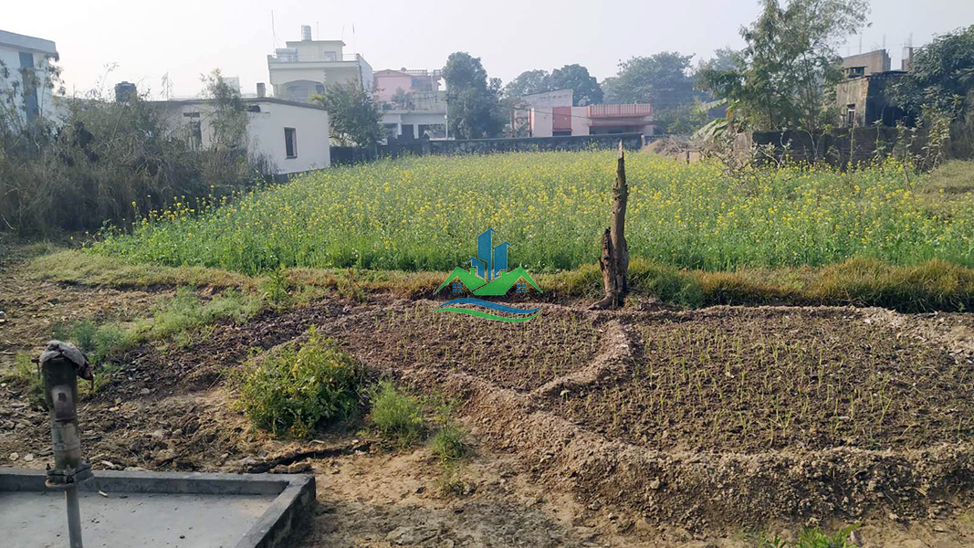 Eproperty Nepal Land for Sale at Buddha Chowk, Bhairahawa