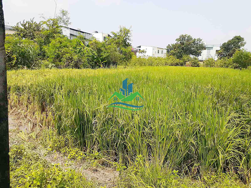 Eproperty Nepal Land for Sale at Buddha Chowk, Bhairahawa