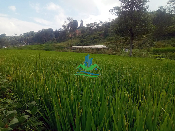 Plotted Land for Sale at Chapagaun, Lalitpur