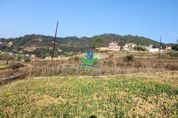 Land For Sale at Godamchaur, Godawari, Lalitpur