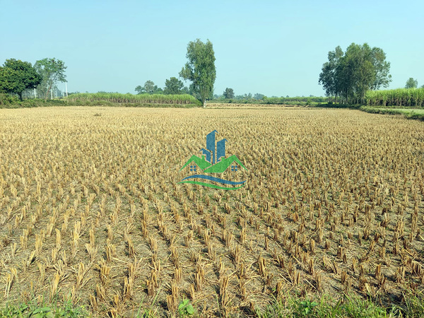 Land Sale at Bijaypur Municipality Himalibas, Rautahat