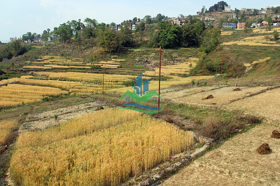 Land For Sale at Bageshwori, Bhaktapur | sk-143