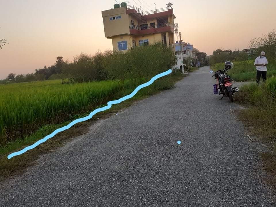 1720086218127.jpeg