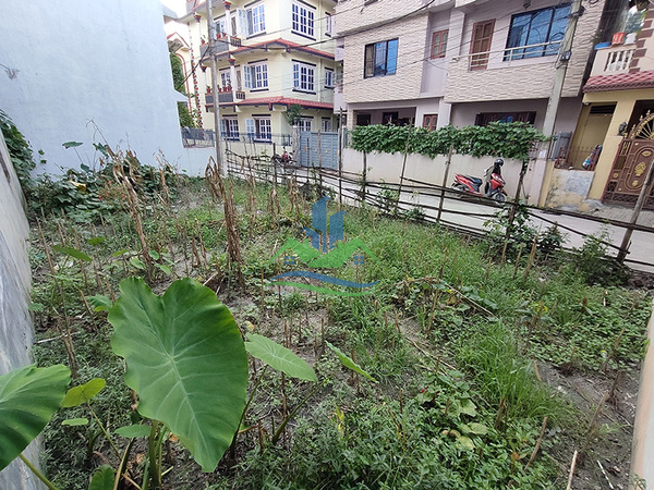 Land For Sale at Manamaiju, Kathmandu