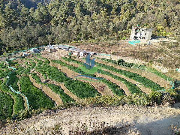 Krishi Farm For Sale at Tokha, Jhor, Kathmandu