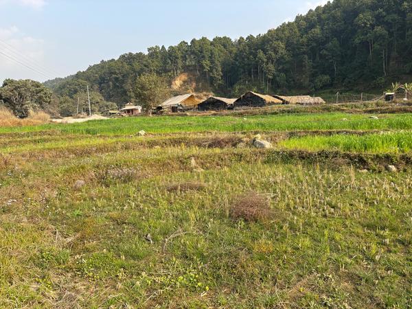 Land For Sale at Budhisera, Nuwakot