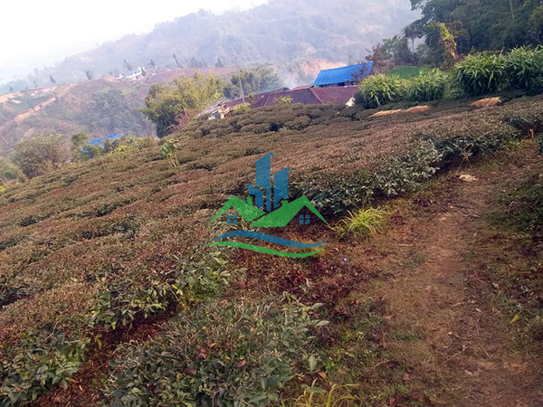 Land For Sale at Kanyam, Ilam