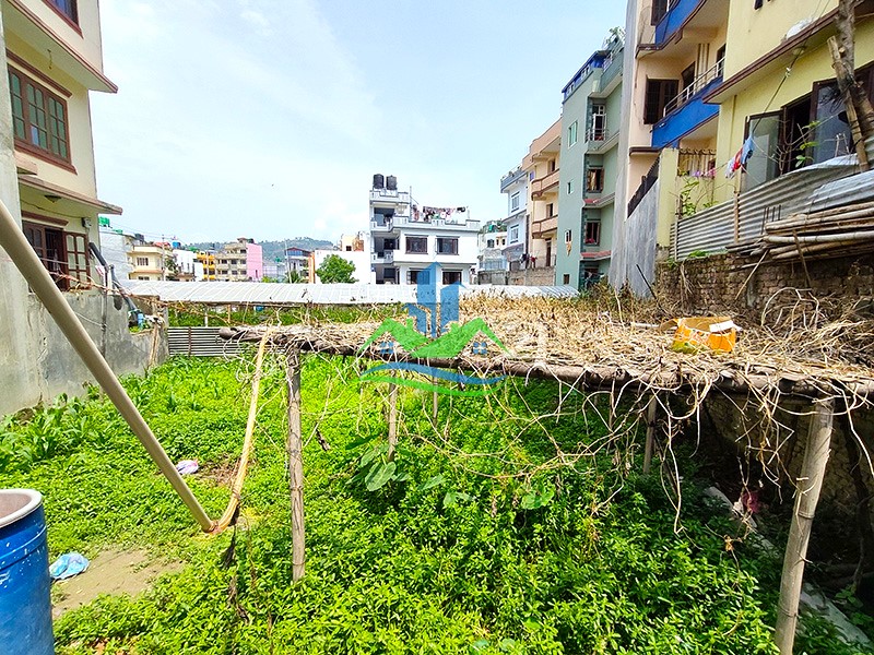 IMG20250520103235_copy.jpg