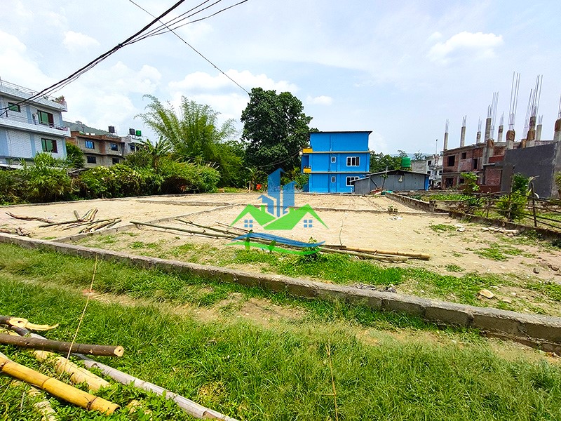 IMG20250520125450_copy.jpg