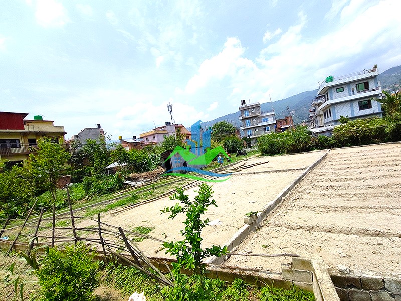 IMG20250520125650_copy.jpg