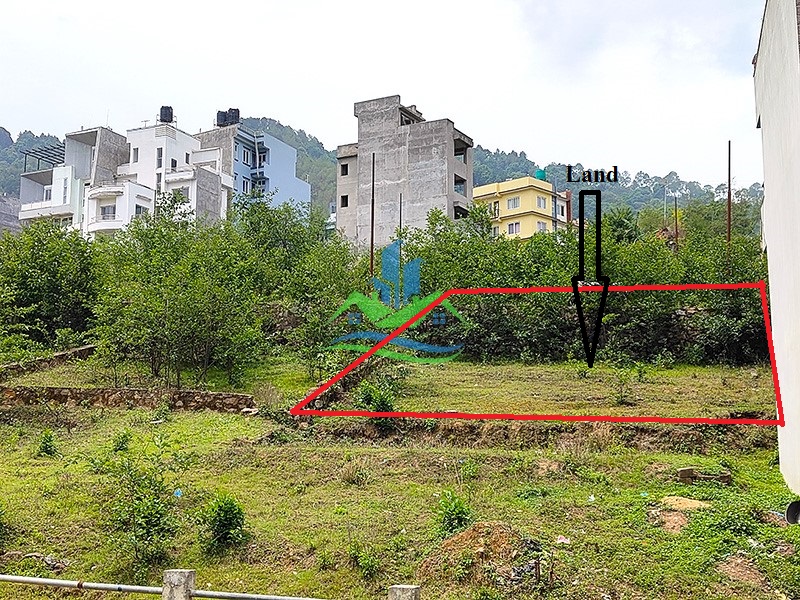 IMG20250522103721_copy.jpg