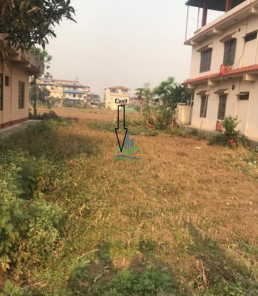 Land For Sale At Gaindakot, Nawalpur