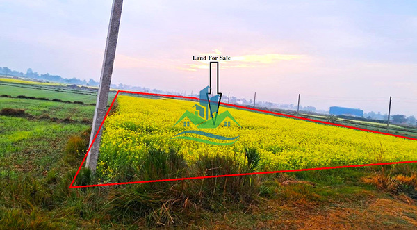 Land For Sale At Tilottama- 17, Rupandehi
