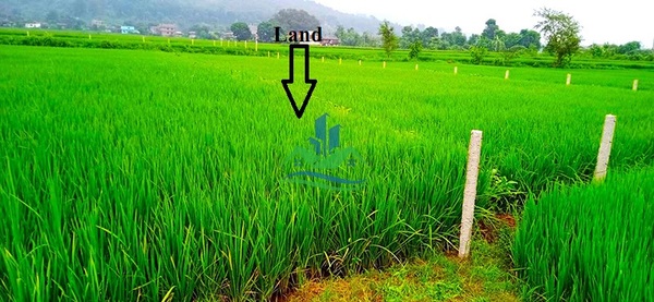Land For Sale At Nijgadh, Bara