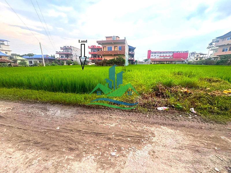 d60305da-0763-4046-bb44-43bd132ced4d_copy.jpg