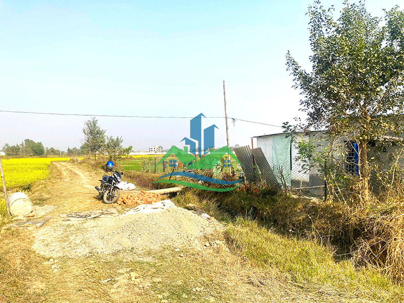 431a360d-ddb5-486d-8197-59550faf2f39_copy.jpg