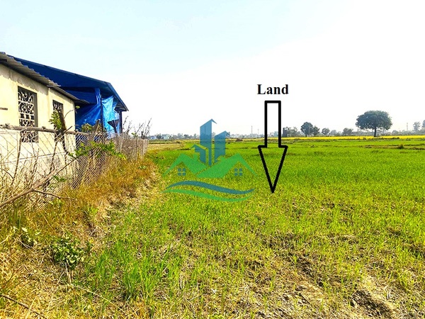 Land For Sale At Tilottama- 13, Puranosadak, Rupandehi