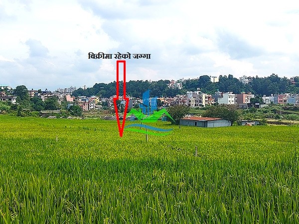 Land For Sale At Bhainsepati, Lalitpur