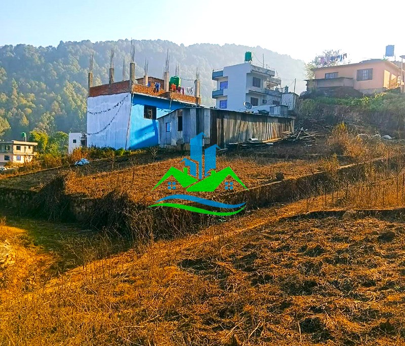 81c4d4a5-896f-426d-a0a3-0b4d0aa05f5a_copy.jpg