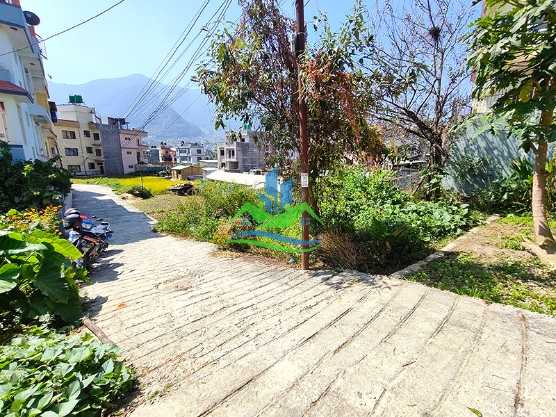 IMG20251013114742_copy.jpg