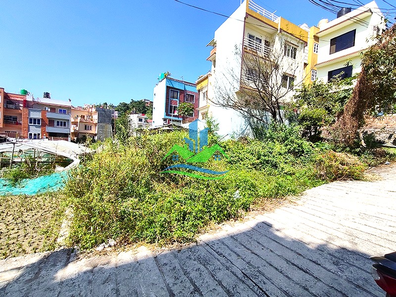 IMG20251013115049_copy.jpg