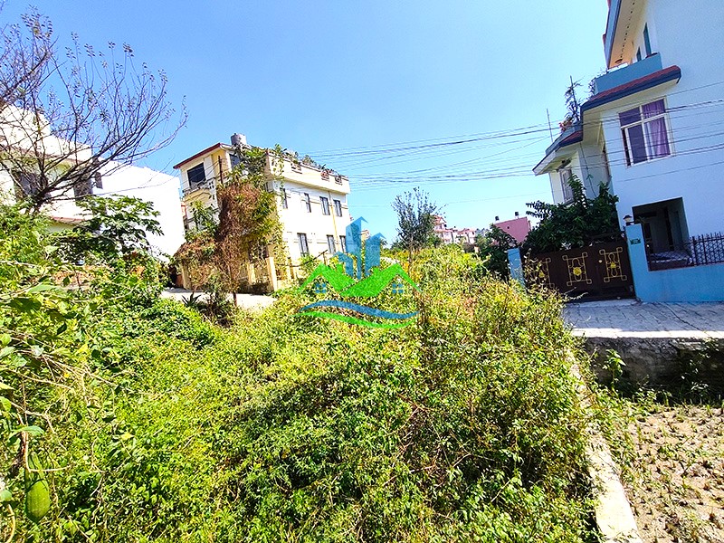 IMG20251013115446_copy.jpg