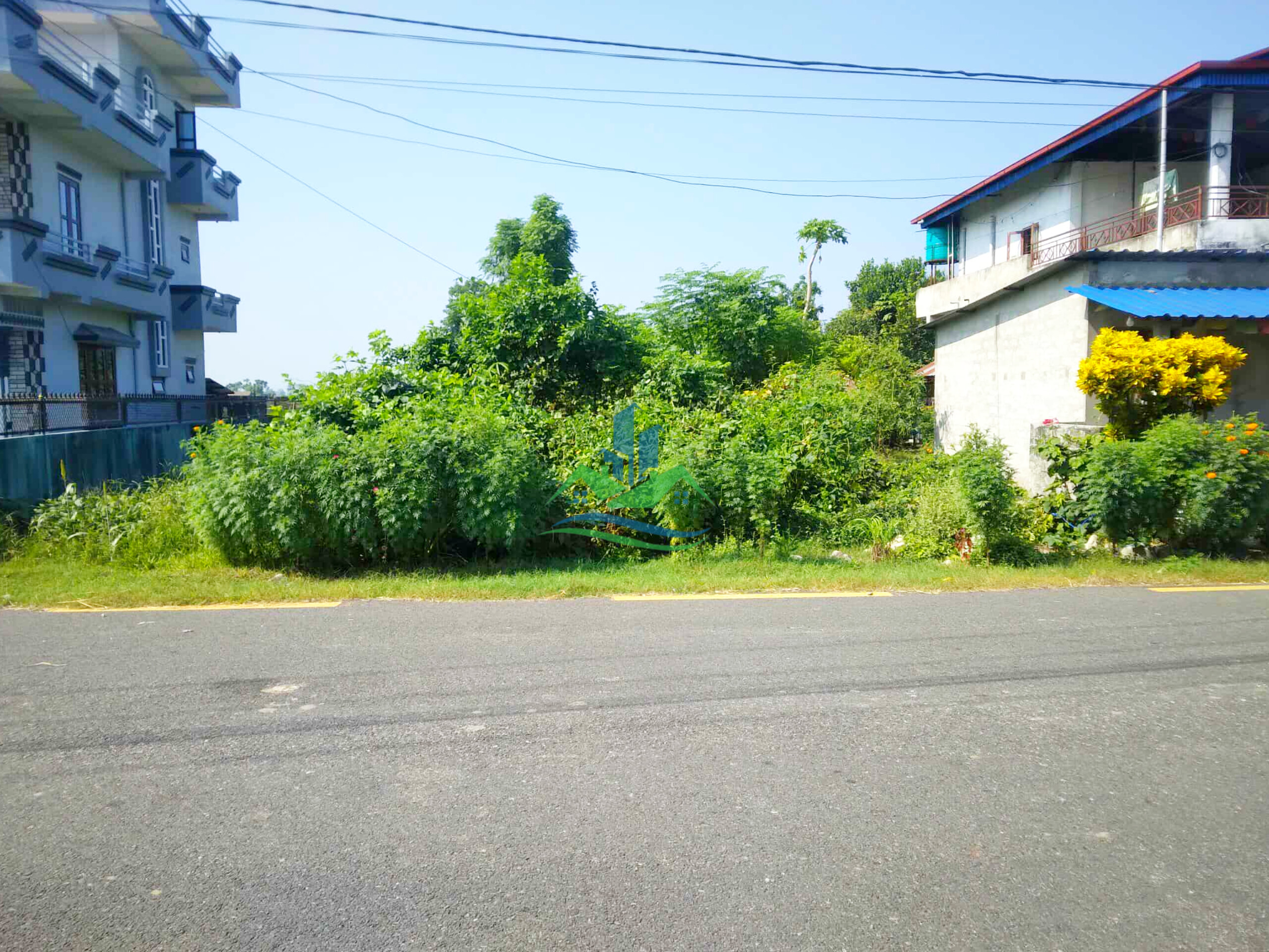 InShot_20251015_130320471.jpg