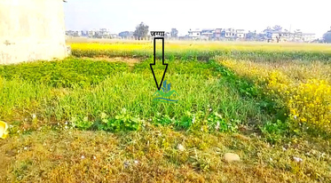 Thumb chitwan land %283%29 copy