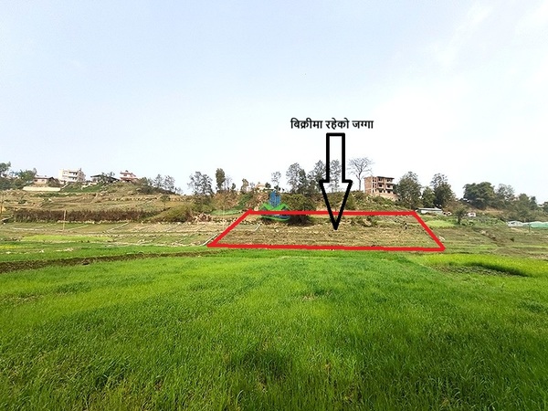 2 Ropani Land For Sale At Chapagaun, Dandagaun, Lalitpur