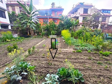 Thumb img20260324163008 copy