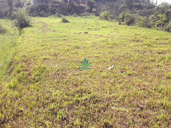 Land For Sale At Pokhara, Kaski