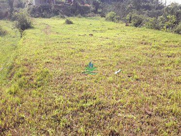 Thumb pokhara land3 copy