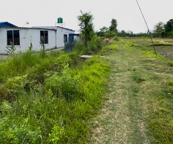Land For Sale At Tilottama- 13, Near Puranosadak, Rupandehi