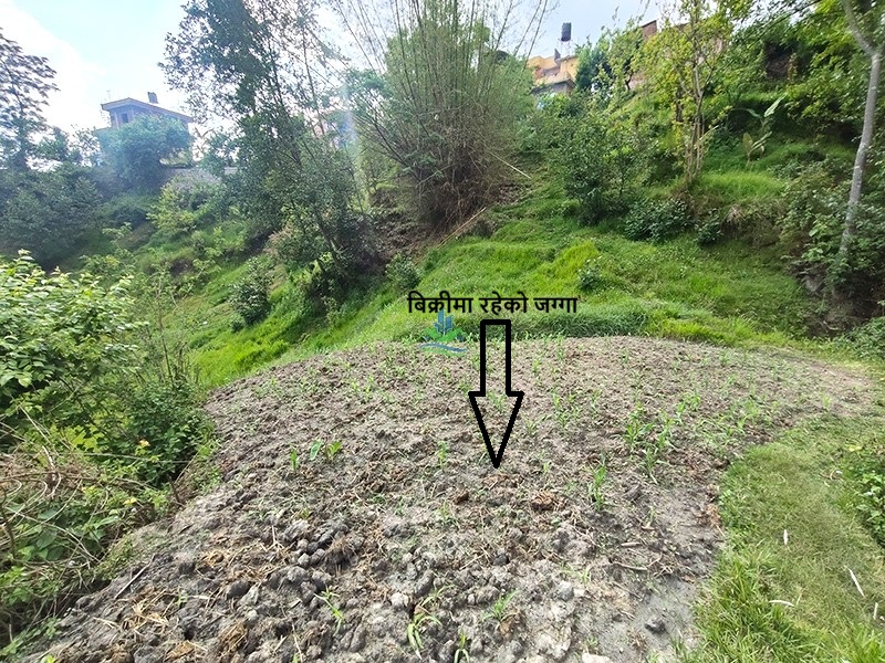 IMG20260511155102_copy.jpg