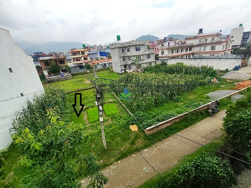 IMG20260612110820_copy.jpg