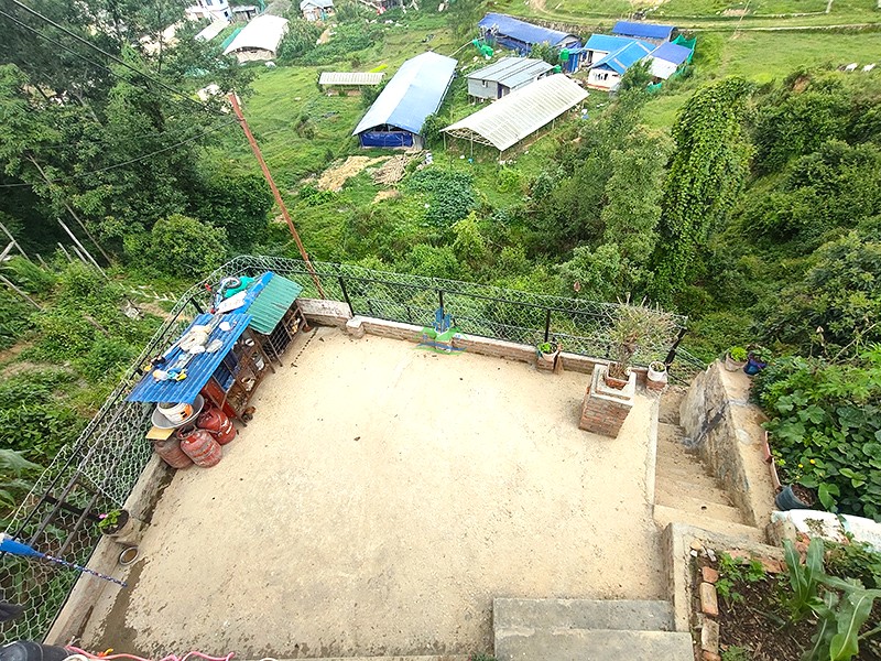 IMG20260616140935_copy.jpg